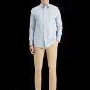 Essential - OXFORD STRIPE