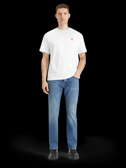 Essential THE ZEE STRAIGHT FIT JEANS   BLUE MOVES