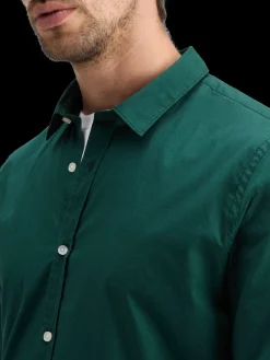 POPLIN SOLID