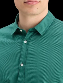 POPLIN STRIPE