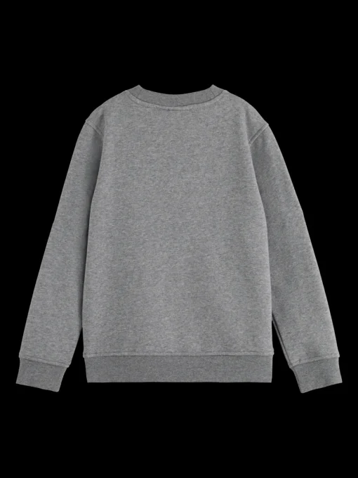 REGULAR-FIT ARTWORK CREWNECK