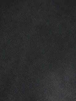 ROBYN NAPPA LEATHER PANT